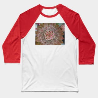 Sempervivum Bird Eye Arial View Baseball T-Shirt